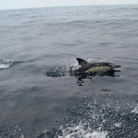 Cazenn - Z Lägenhet Nazaré