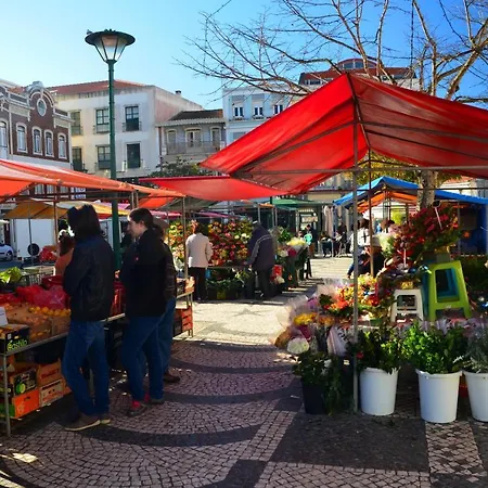 Cazenn - Z Lägenhet *