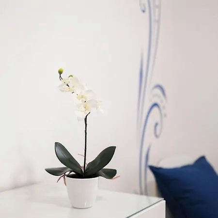 Cazenn - Z Lägenhet