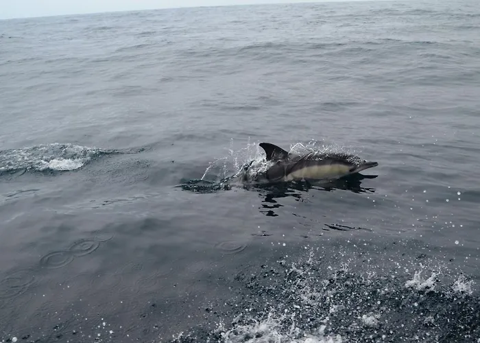 Cazenn - Z Διαμέρισμα Ναζαρέ