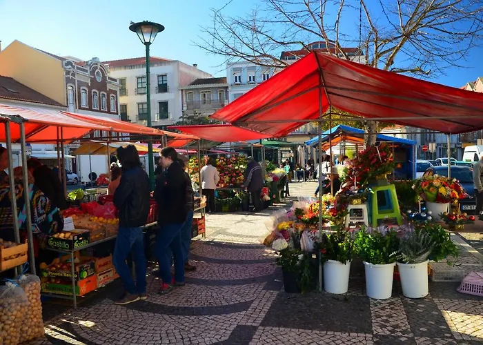 Cazenn - Z Διαμέρισμα *