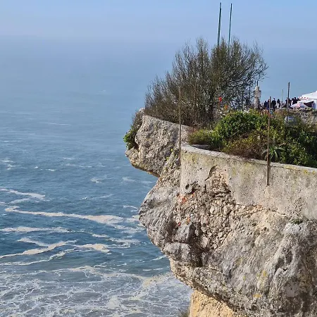 Cazenn - Z * Nazaré